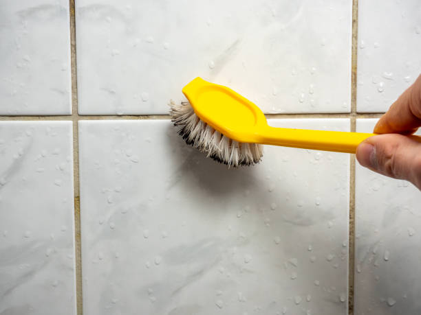 Best Black Mold Removal  in Rogersville, AL