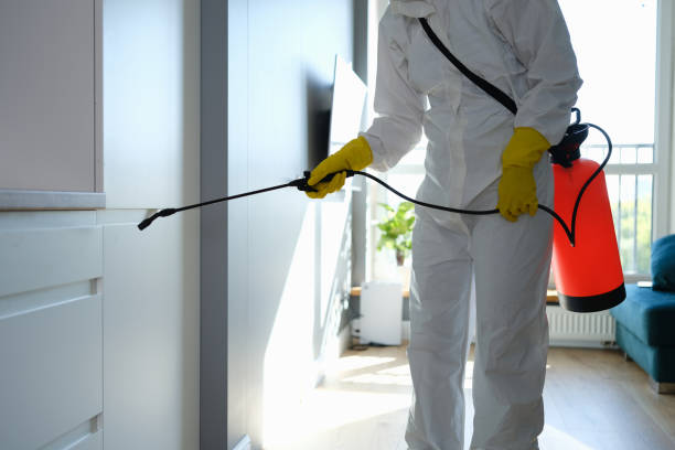 Best Commercial Mold Removal  in Rogersville, AL