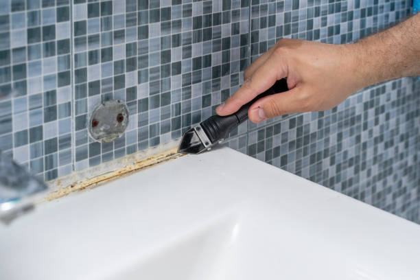 Best Best Mold Removal Companies  in Rogersville, AL